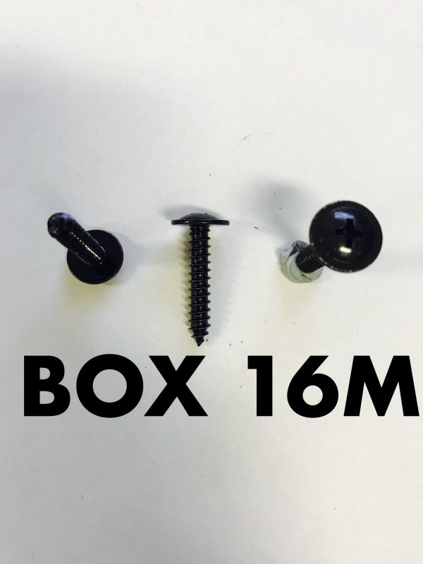 Carclips Box 16M 10g x 25mm Screws Black