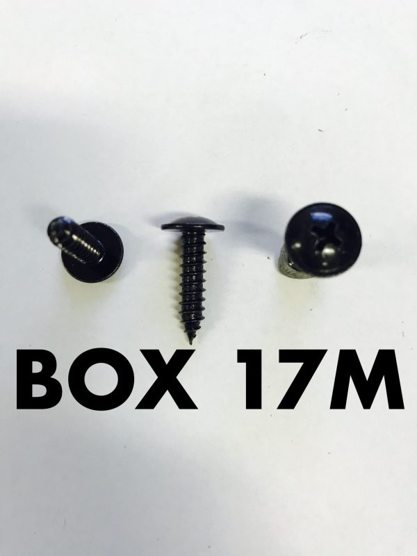 Carclips Box 17M 10g x 20mm Screws
