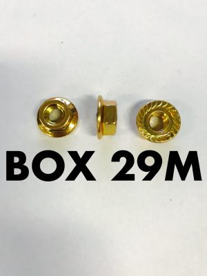 Carclips Box 29M M6 Brass Nut