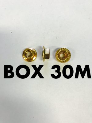Carclips Box 30M M5 Brass Nut
