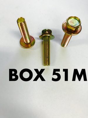 Carclips Box 51M M8 x 35mm Brass Bolt